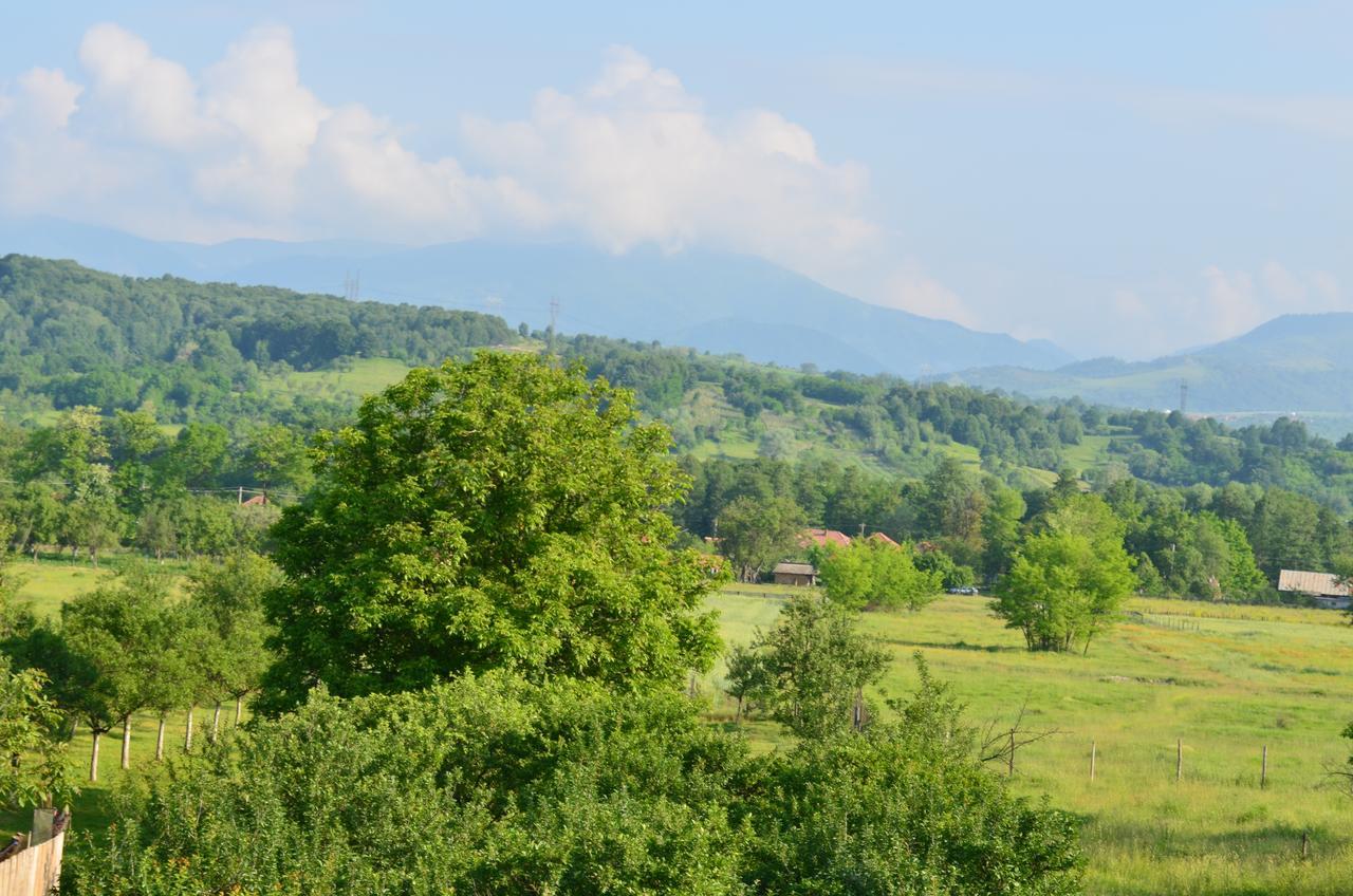 Pensiunea Koruna Poenari Экстерьер фото