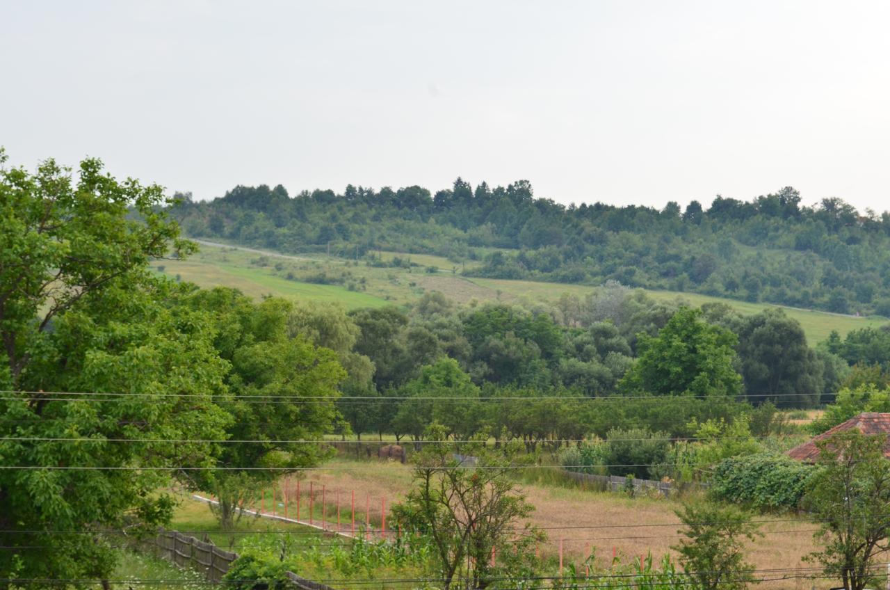 Pensiunea Koruna Poenari Экстерьер фото